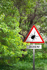 Masterdog Zecken