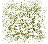 Pfefferminzblätter